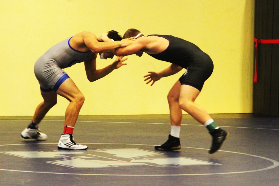 After a productive offseason according to Connor Fitzgerald, coach, the wrestling team looks to aim for high accolades