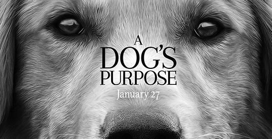 ‘A Dog’s Purpose’ a good enough family film