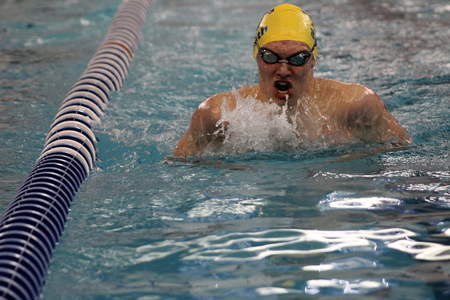 Max Stoneking, senior, swims breaststroke at the state championships. 