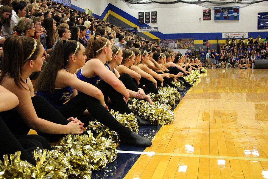 The+drill+team+held+tryouts+on+March+9.+Pictured+is+this+years+current+drill+team+performing+at+a+pep+assembly.