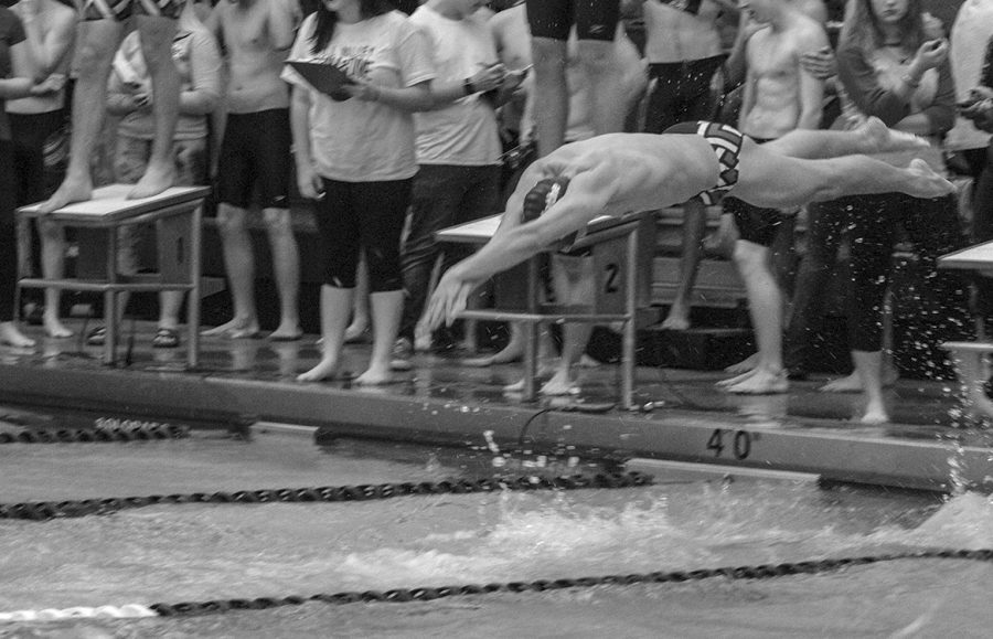 A swimmer dives off the blocks during a relay last year.  This year the team is focusing on the team aspect of swimming, according to Brandon Simpson, head coach. 