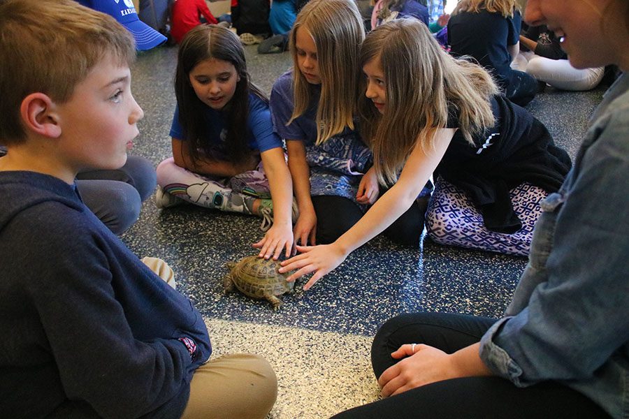 Students present animals to kids