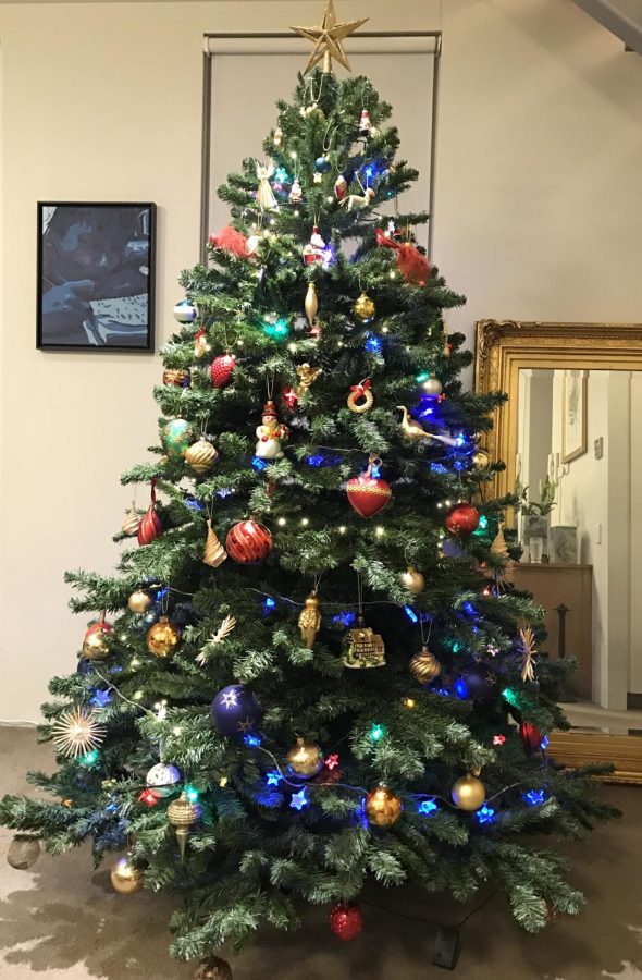 Fake+vs+Real+Christmas+Trees