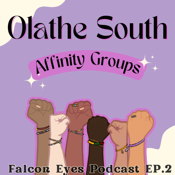 Falcon Eyes Podcast: Episode 2, Affinity groups