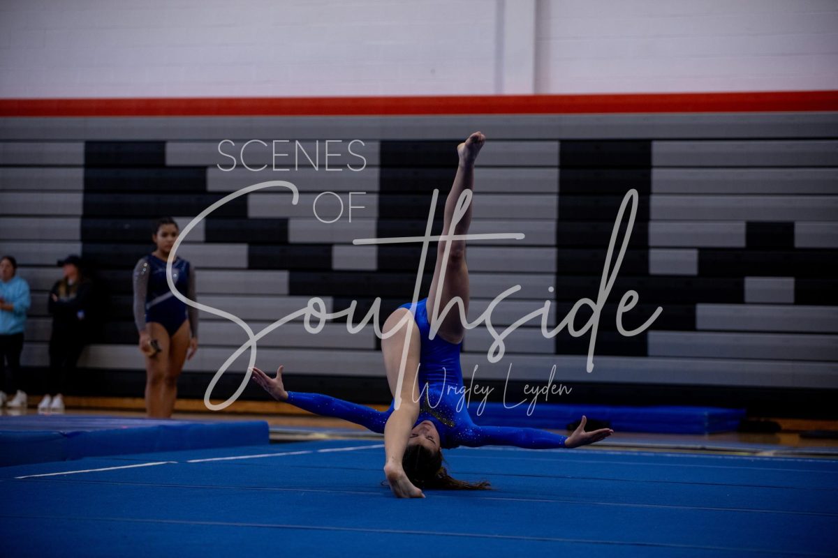 WL- State Gymnastics-527