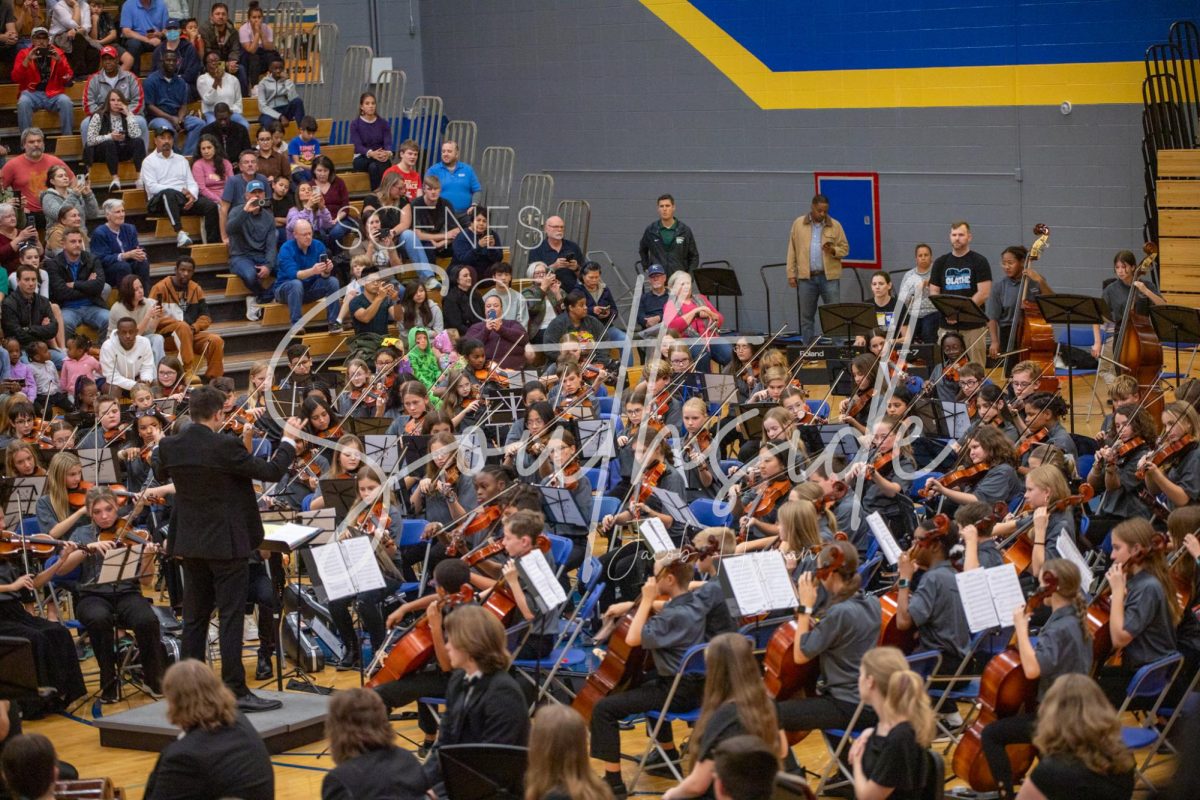 Orchestra concert | Nov. 12